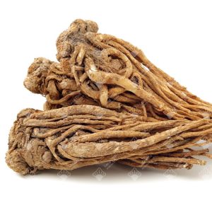 Bạch chỉ
