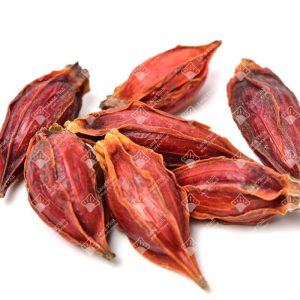 Chi tử