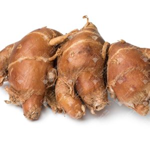 Địa liền