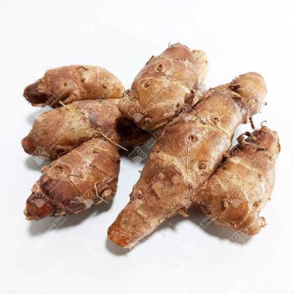 Địa liền - Ảnh 2
