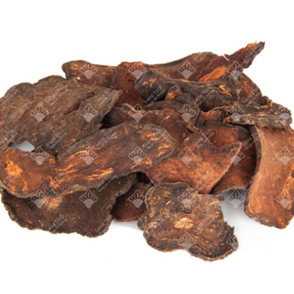 Địa liền - Ảnh 3