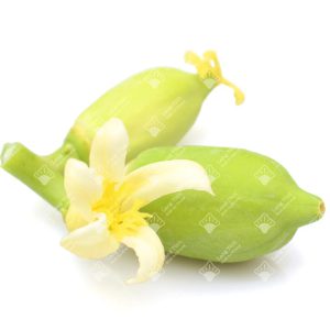 Hoa đu đủ