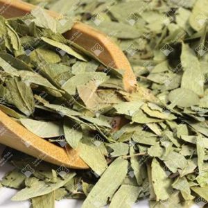Phan tả diệp
