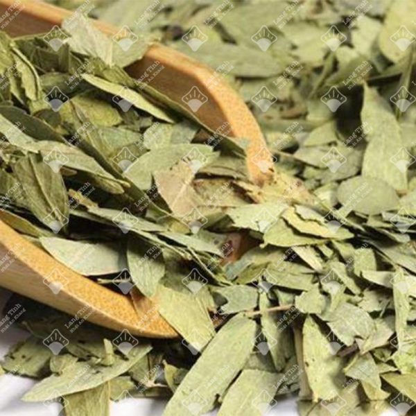 Phan tả diệp