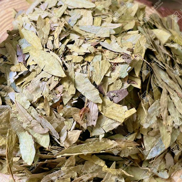 Phan tả diệp - Ảnh 3