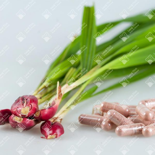 Sâm đại hành - Ảnh 3