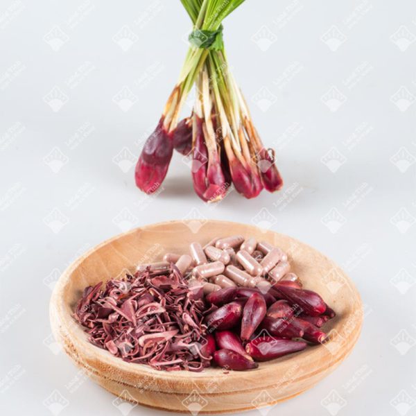 Sâm đại hành - Ảnh 2
