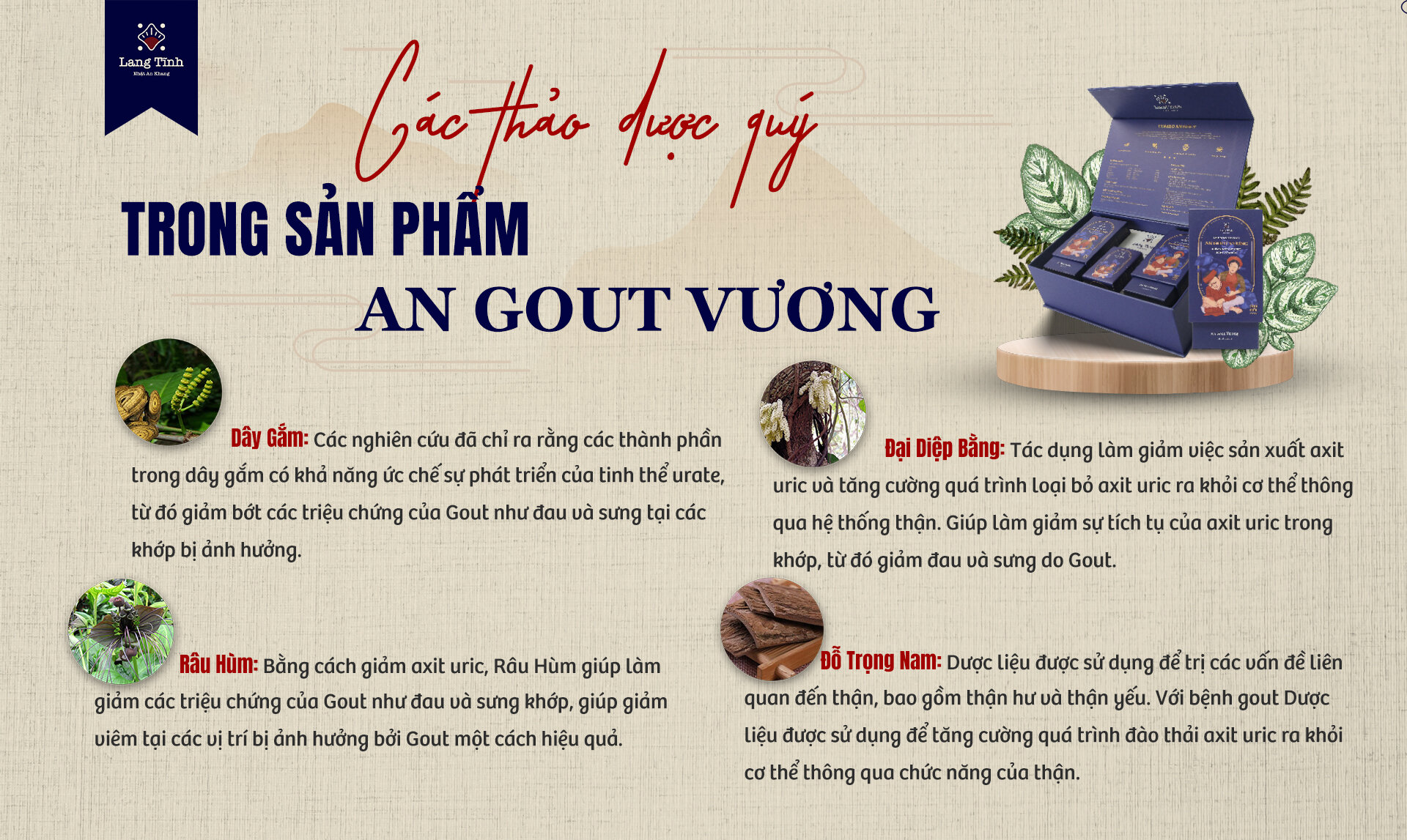 Anh Gout Vương - bài thuốc quý từ y học cổ truyền