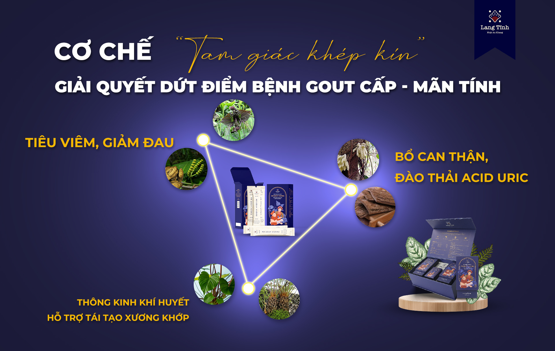 Cơ chế Tam giác khép kín - Khắc tinh của Gout